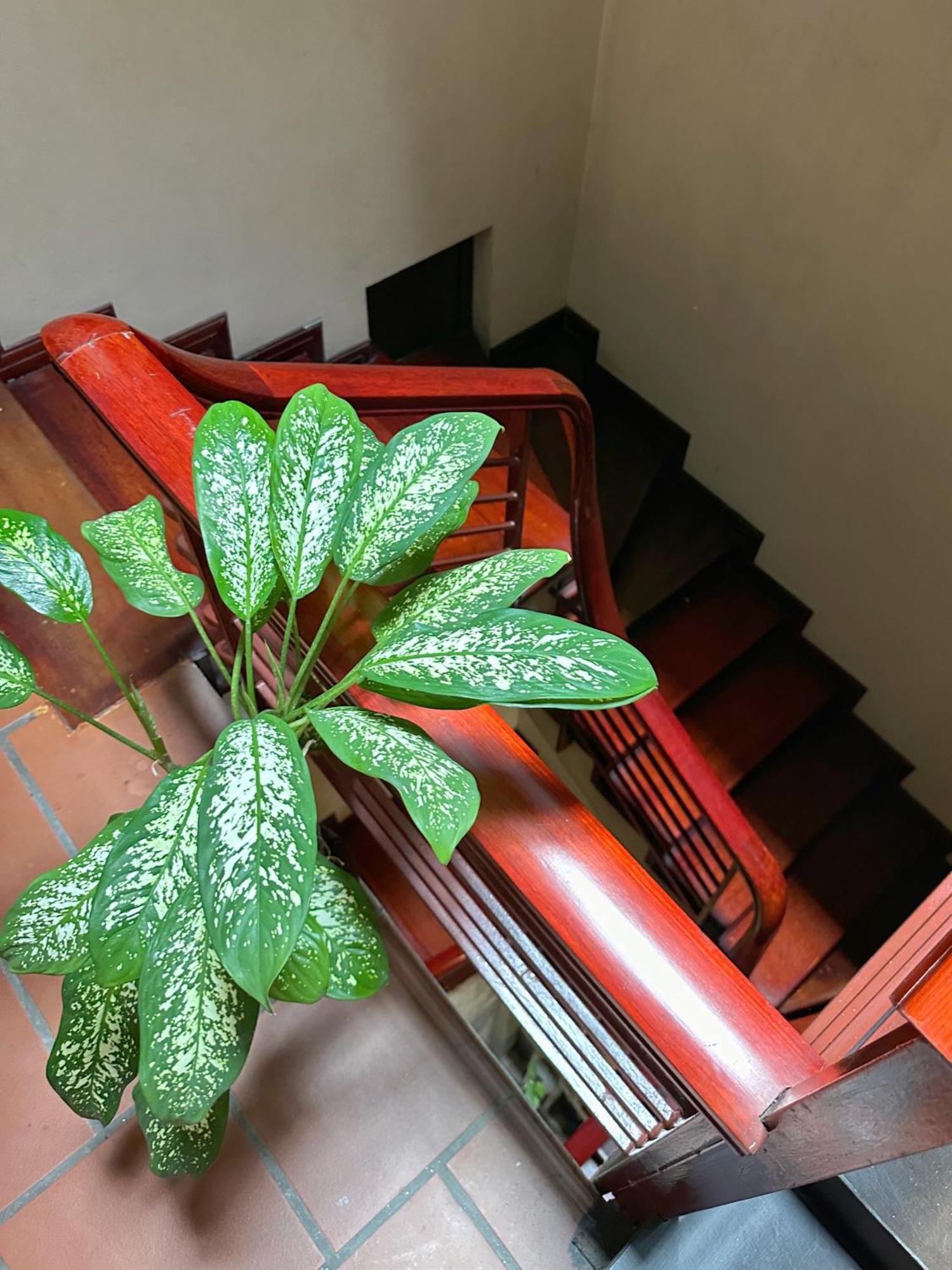Halo Bay Homestay Hạ Long Exterior foto
